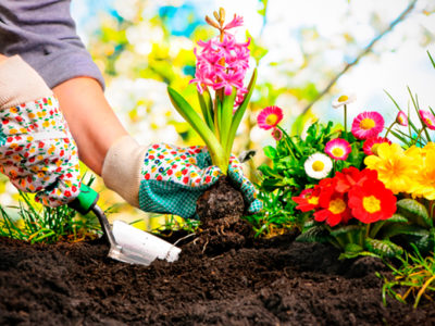 ¿Cómo mantener su jardín bonito de forma eficiente?