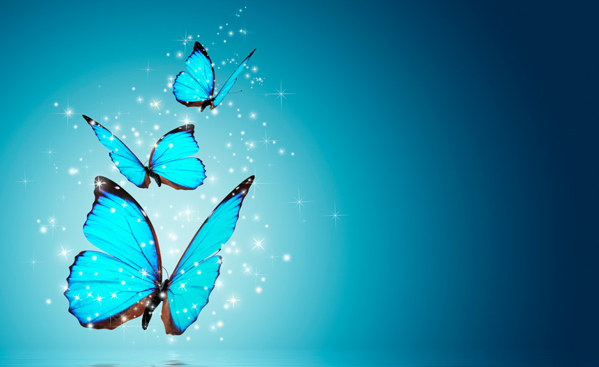 Diseño inspirado en la naturaleza