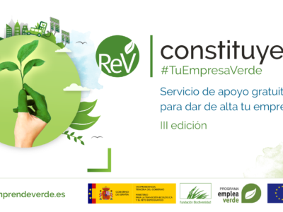 Arranca nueva edición de Constituye #TuEmpresaVerde, el servicio orientado a la creación de negocios verdes