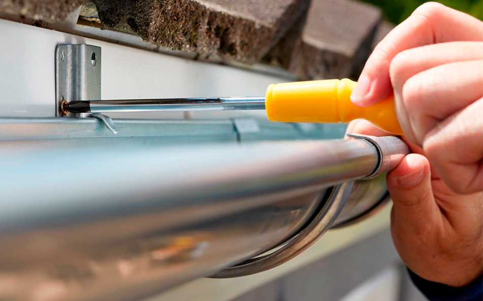 Prevención de plagas e insectos Prevención de plagas e insectos