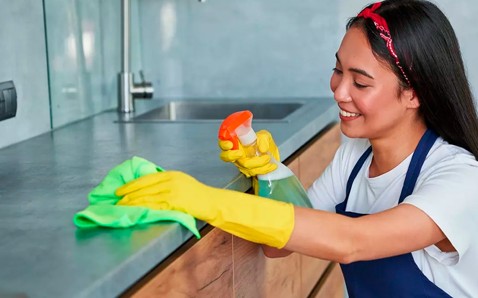 Alternativas al servicio doméstico tradicional: opciones modernas Alternativas al servicio doméstico tradicional: opciones modernas