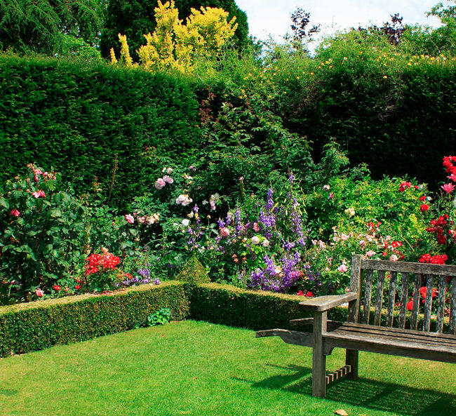 ¿Cómo llenar de color tu Jardín en Madrid para una primavera vibrante?