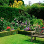 ¿Cómo llenar de color tu Jardín en Madrid para una primavera vibrante?