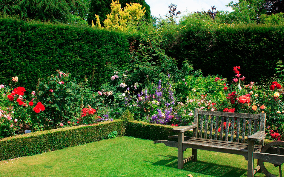 ¿Cómo llenar de color tu Jardín en Madrid para una primavera vibrante?