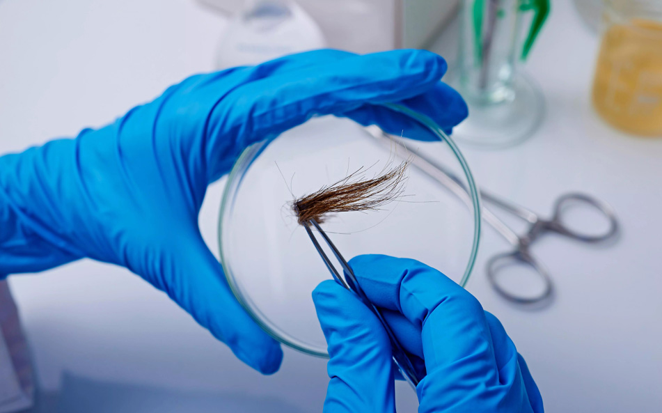 ¿Cómo se realiza el análisis?