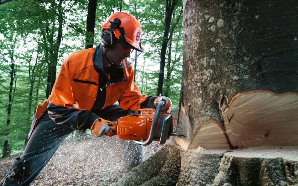 Impacto ecológico real y medidas compensatorias Impacto ecológico real y medidas compensatorias